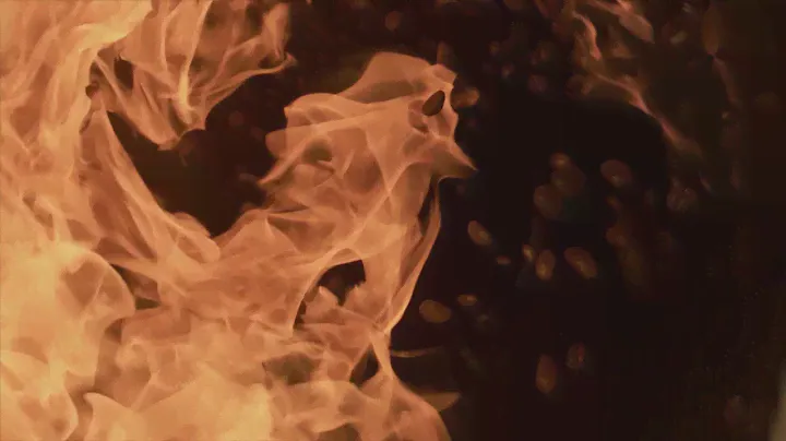 NESCAFÉ Gold - Roasting