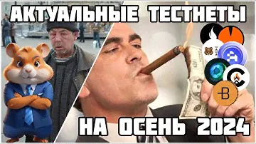 НЕ ПРОПУСТИ ЭТИ ТЕСТНЕТЫ И СДЕЛАЙ СВОЙ ПЕРВЫЙ БАНК | ЧТО ВОРКАТЬ ЛОУБАНКУ ОСЕНЬЮ 2024